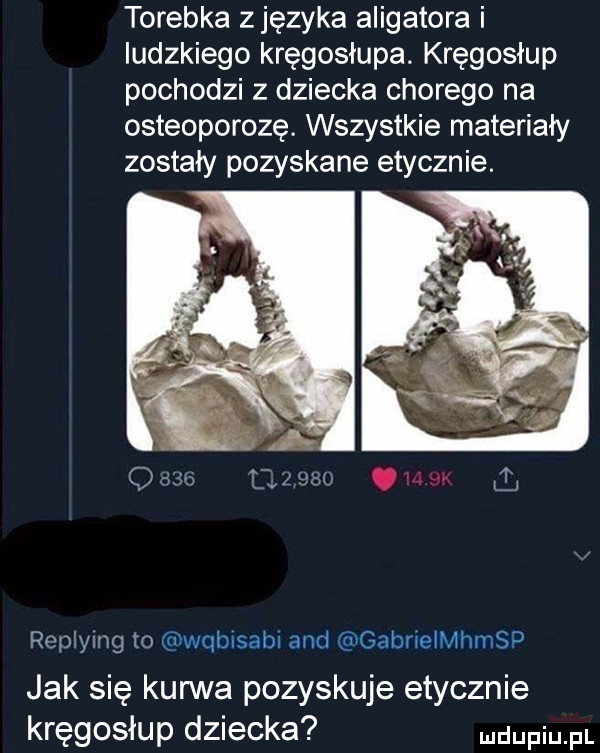 torebka zjęzyka aligatora i ludzkiego kręgosłupa. kręgosłup pochodzi z dziecka chorego na osteoporozę. wszystkie materiały zostały pozyskane etycznie. repki mg to wqblsabl and gabnethmsp jak się kurwa pozyskuje etycznie kręgosłup dziecka