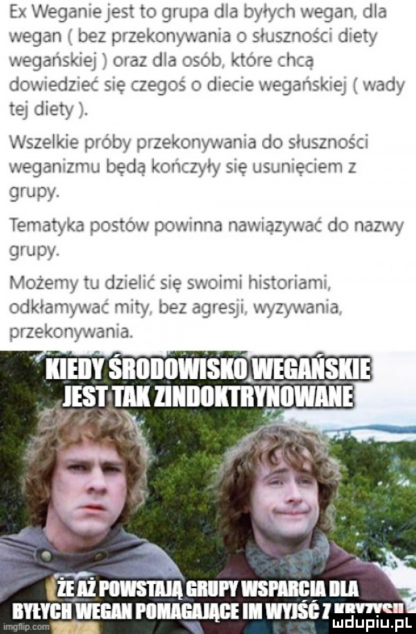 ex weganiejest to grupa dla byłych wegan dla wegan ij bez przekonywania o siusznos cr diety wegańskiej ji oraz dla osob ktore chca dowiedliec sie czegos o diecie wegańskiej wady tej diety. wszelkie próby przekonywania do słuszności weganizmu bada konczyiy sie usunięciem z grupy tematyka postow powinna nawiazywac do nazwy grupy. możemy tu dzielić się swoimi historiami odkiamywac mity bez agresji vwzywania przekonywania. in m eiiiw splin illll wai mm me in vhs e i dafie f il
