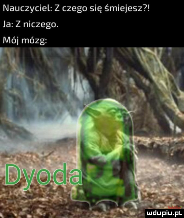nauczyciel z czego się śmiejesz ja z niczego