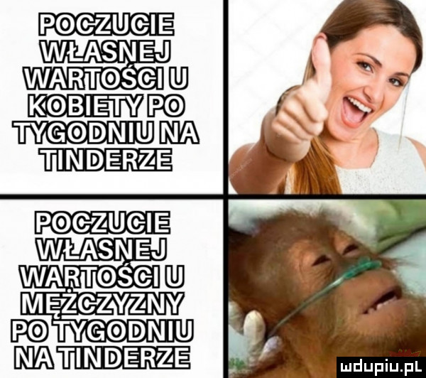 wartgsgi tygodniem tonderze