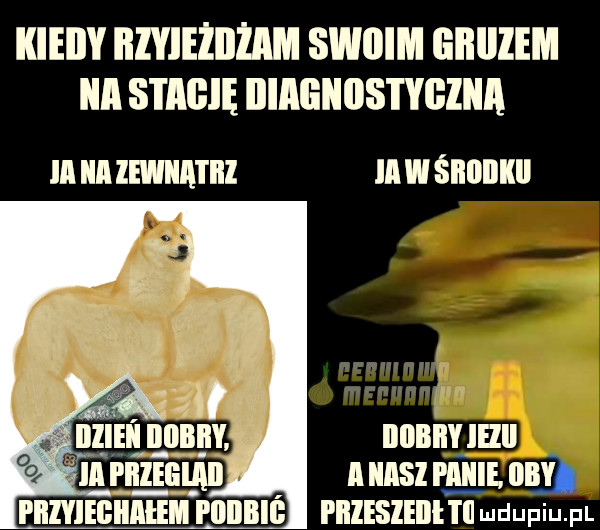 kieiiy iiiyieiiiiim swoim eiiiiiem ica stade illaiiiiiis iygliia ia a lewiiatiil iawśiiiiiikii. manual nurs i iiiiie. om rnmmnnum musli rnlisunń n mdupiu. fl