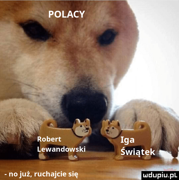 no już ruchajcie się