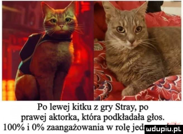 po lewej kątku z gay spray po prawej aktorka która podkładała głos.     i   zaangażowania w roluje ndupiu pl
