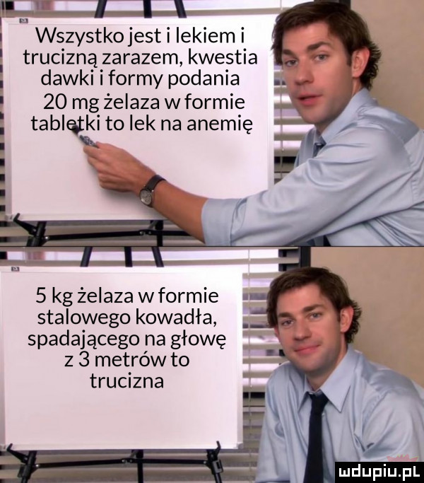 ibl j j l wszystkojesti ickiem i trucizną zarazem kwestia dawki iformy podania        mg żelaza w formie tabletki to idk na anemię i i i i l i p i i i i i   kg żelaza wformie stalowego kowadła spadającego na głowę z   metrów to trucizna
