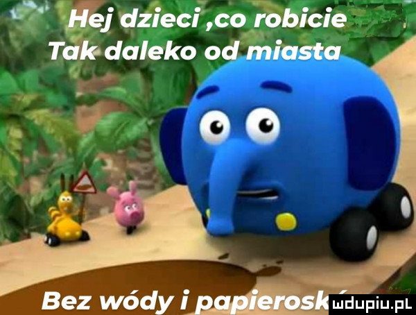 j dzkciłcołbbicie t daleko od miasta