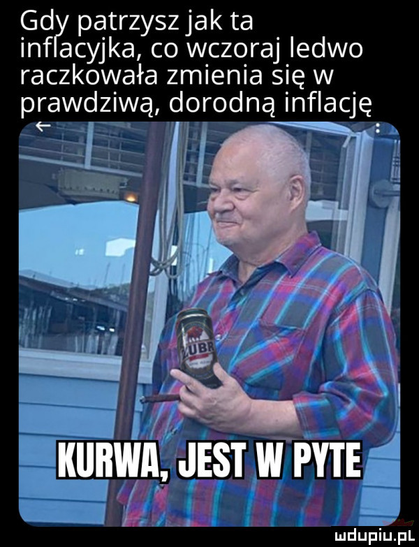 patrzysz jak ta ianpścyjka co wczoraj ledwo raczkowała zmienia się w prawdziwą dorodną inflację ludupiu j il