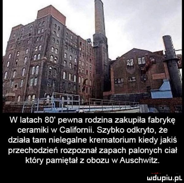 ceramiki w californii. szybko odkryto że działa lam nielegalne krematorium kiedy jakiś przechodzień rozpoznał zapach palonych ciał który pamiętał z obozu wauschwitz