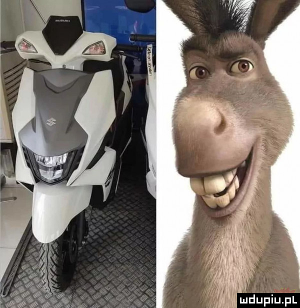 Obrazek