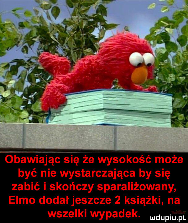 Obrazek