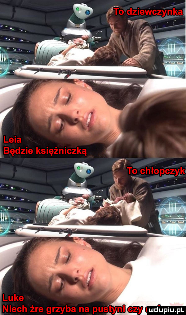 Obrazek