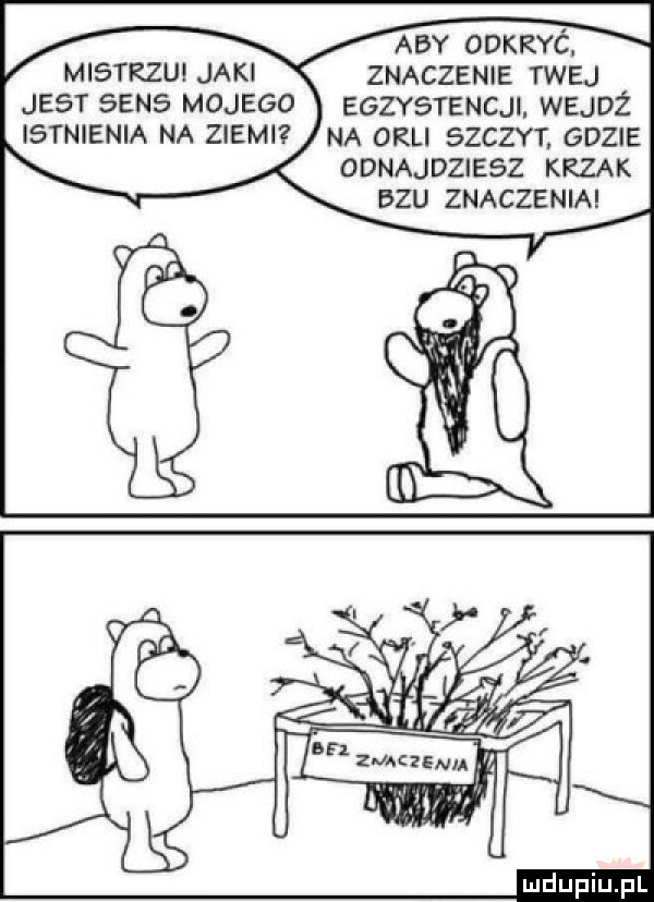aby ooanć. abakankami mistrzui jaki znaczenie twej jest sens mojego egzystencji. wejdż istnienia na ziemi na orli szczyt. gdzie odnajdziesz kruk bzu znaczenia