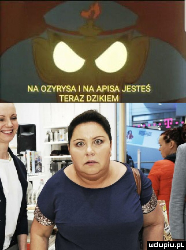 co na ozyrysa na apisa jesteś teraz dzikiem i ndueii jifil