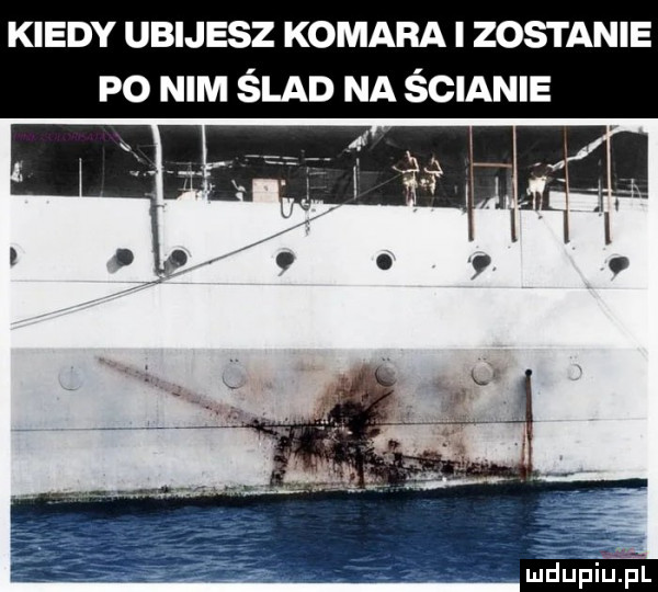 kiedy ubijesz komara i zostanie po nim ślad na ścianie