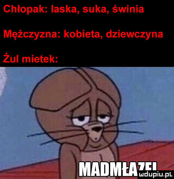 Obrazek