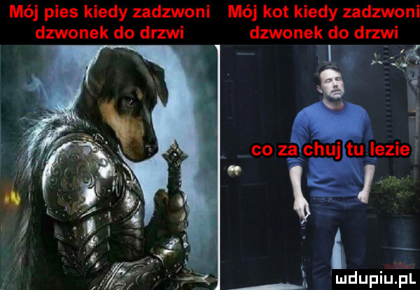 mój pies kiedy zadzwoni mój kot kiedy zadzwoni dzwonek do drzwi dzwonek do dszw   . a   co za chuj tu lezie ś a m mdupiuﬁ