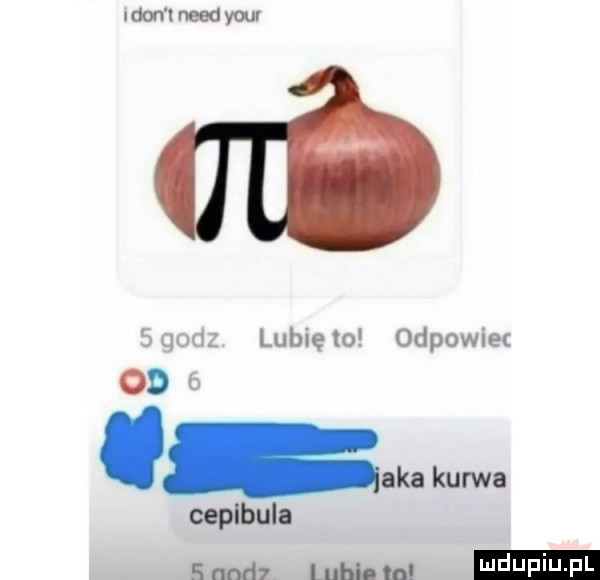 neon lneedywr sum lubiewo odpowie od aka kurwa ceplbula   md mm. in