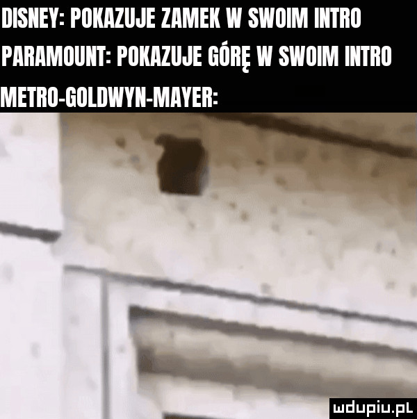 iiisiiey piikiziije zamek w swiiim iiiiiiii pﬂﬂﬂmﬂlllll pokazuje min w swoim iiiiiiii metiill lilllllwyii miyeii p ludu iu. l