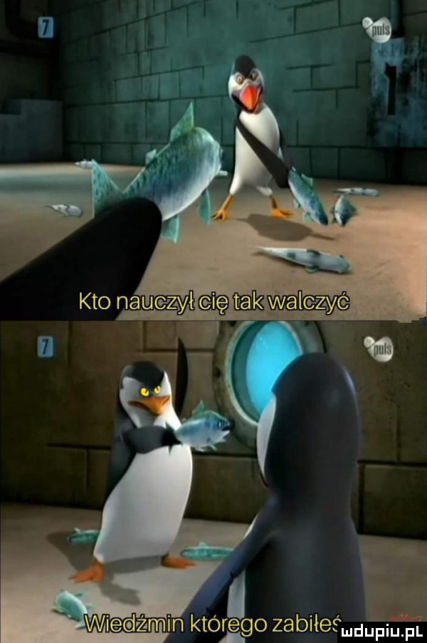 fu e wiedzmin któggo zabiłeśudupium