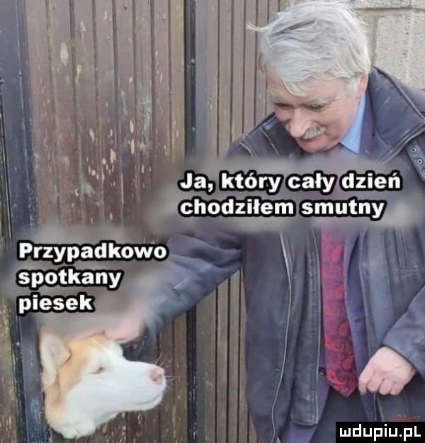 przypadkowoxą orkany