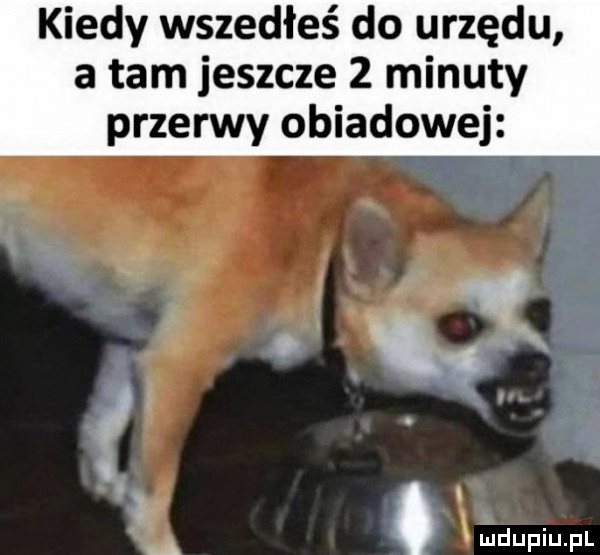 kiedy wszedłeś do urzędu a tam jeszcze   minuty przerwy obiadowej