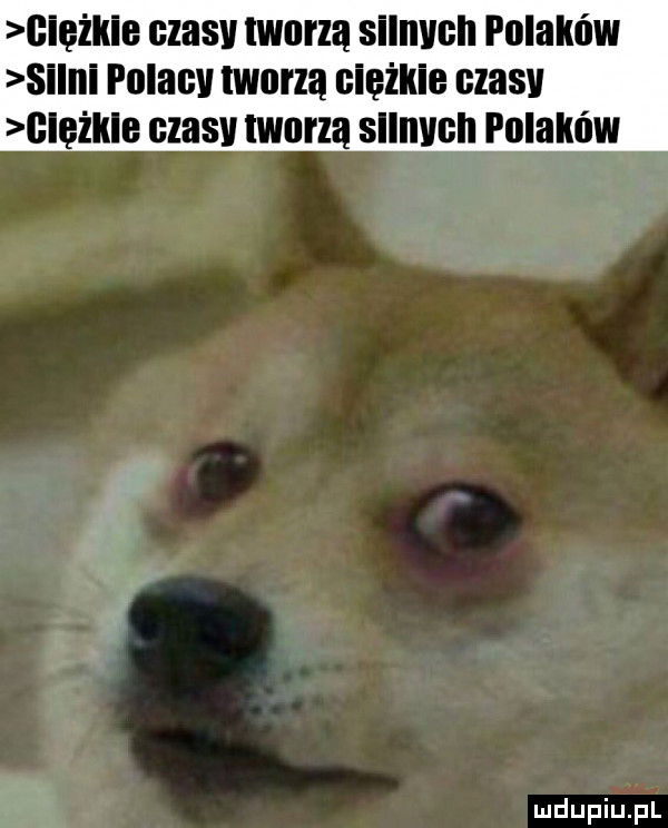 iężkle czasv twarzą sllnvcll polaków silni polacv twarza ciężkie czasv iężkle czasv twarzą sllnvnh polaków
