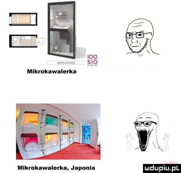 o   o mikrokawalerka mikrokawalerka japoki