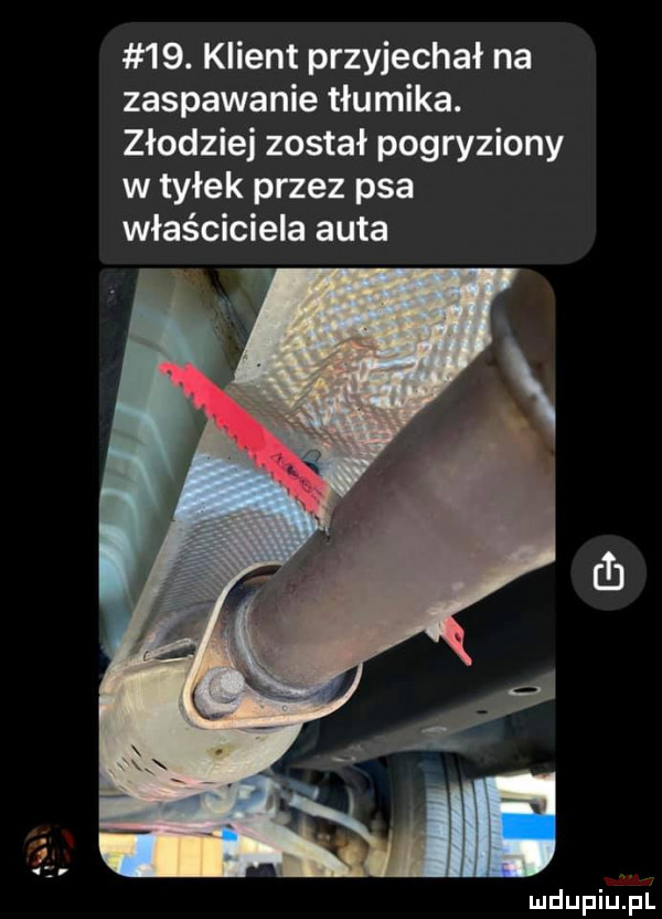 klient przyjechał na zaspawanie tłumika. złodziej został pogryziony w tyłek przez psa właściciela auta