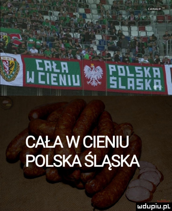 cała w qieniu polska sląska