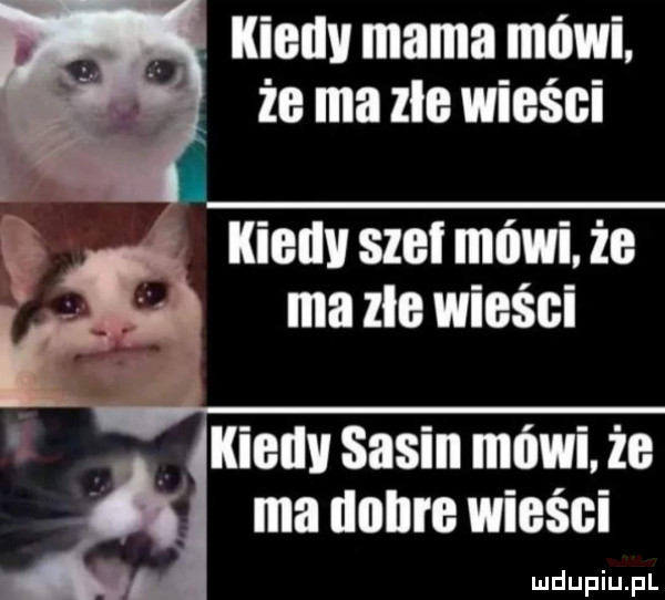 kiedy siei mówi. że ma zle wieści. f. led saum mńvn. ze ma dab wigśgi