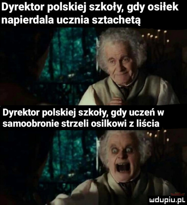 dyrektor polskiej szkoły gdy osiłek napierdala ucznia sztachetą dyrektor polskiej szkoły gdy uczeń w samoobronie strzeli osiakowi iiścią