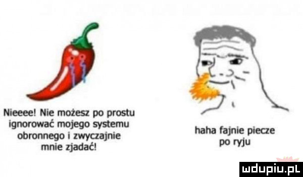 niecce nie ma po prestu lgnomaé miego syjamu obronnego i zwyczajnie mnie zjadać haba fame piecu po mu