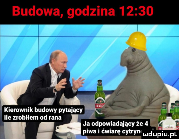 budowa godzina       kierownik budowy pytający ii e zrobilem. adm ja udpowiadający ze   piwa i ćwiarę cytryn wudhpiu pl