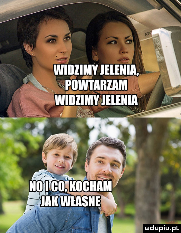 wiiizimyleleiiia srowmnznm winzjwlnuimun