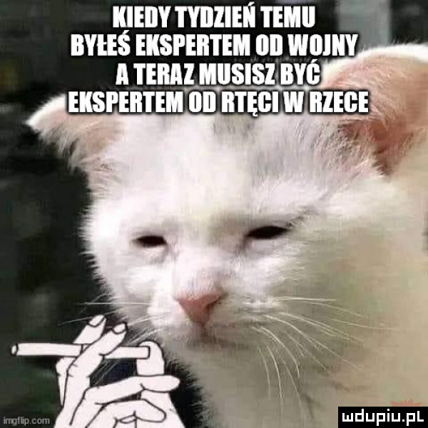 inmvnmzlu l mm. ludu iu. l