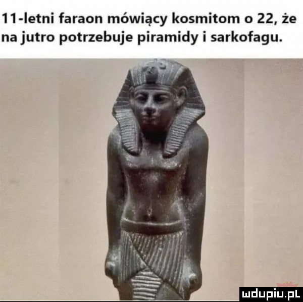 istni faraon mówiący kosmitom o    że na jutro potrzebuje piramidy i sarkofagu