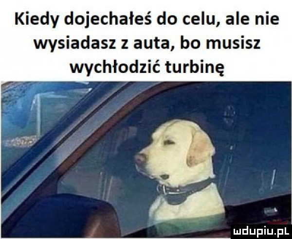 kiedy dojechałeś do celu ale nie wysiadasz z auta bo musisz wychłodzić turbinę