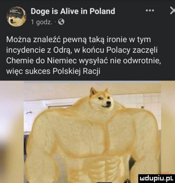 w doje is alice in poland w   godz.   można znaleźć pewną taką ironie w tym incydencie z odrą w końcu polacy zaczęli chemie do niemiec wysyłać nie odwrotnie więc sukces polskiej racji