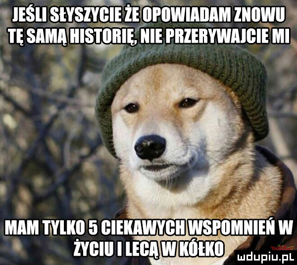 legli siyszyiiie że iii iiiiiiiiiiiiim liiiiwii i ę siiiiiii ibis iiiiiie icie i iileiiywiiigie mi