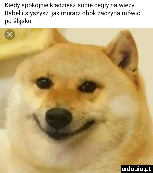 kiedy spokojnie kładziesz sobie cegły na wieży babel i słyszysz jak murarz obok zaczyna mówić po śląsku ludu iu. l