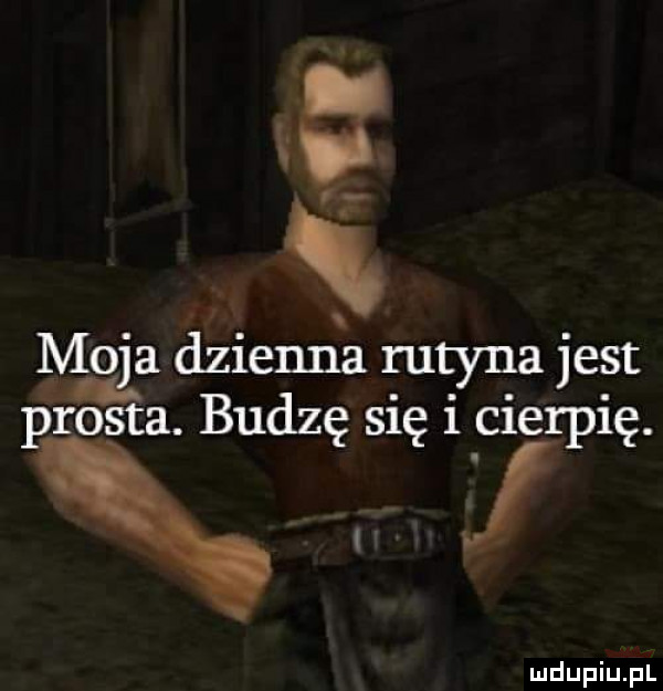 a mufla dzienna rutyna jest prosta. budzę się i cierpię