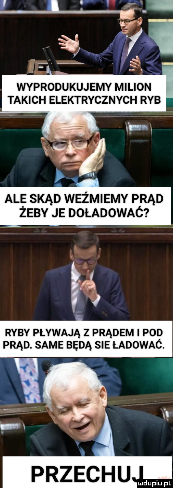 wyprodukujemy milion takich elektrycznych ryb ali e skąd wyżmiemy pirąd zeby je doładowac