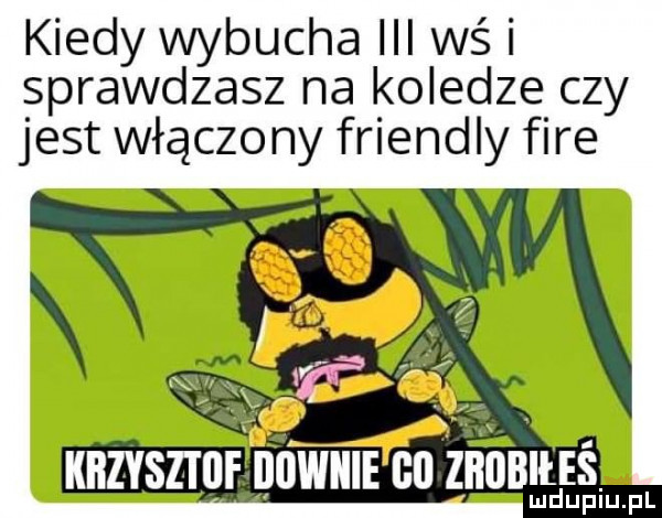 kiedy wybucha iii wś i sprawdzasz na koledze czy jest włączony friendly fice ijownua cu zio mtdss lu upiu pl nfz vsszf