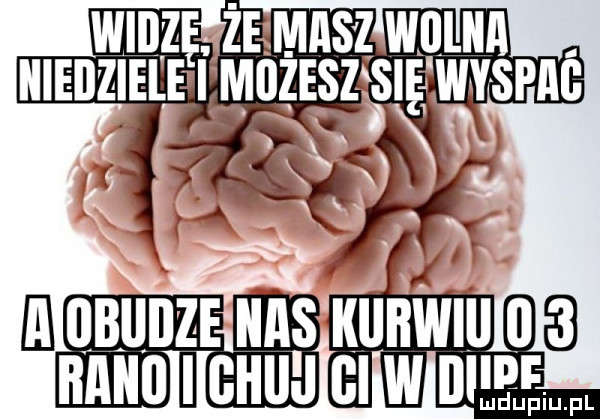 e qbllilze iiais kiibwiii   ﬂﬂllll i ghiij gi w ie emm
