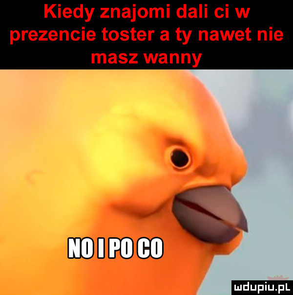 kiedy znajomi dali cew prezencie toster a ty nawet nie masz wanny