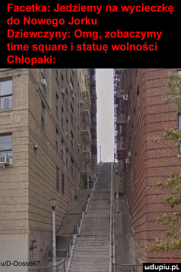 facetka jedziemy na wycieczkę do nowego jorku dziewczyny omg zobaczymy time square i statuę wolności chłopaki. q. ix ml         t