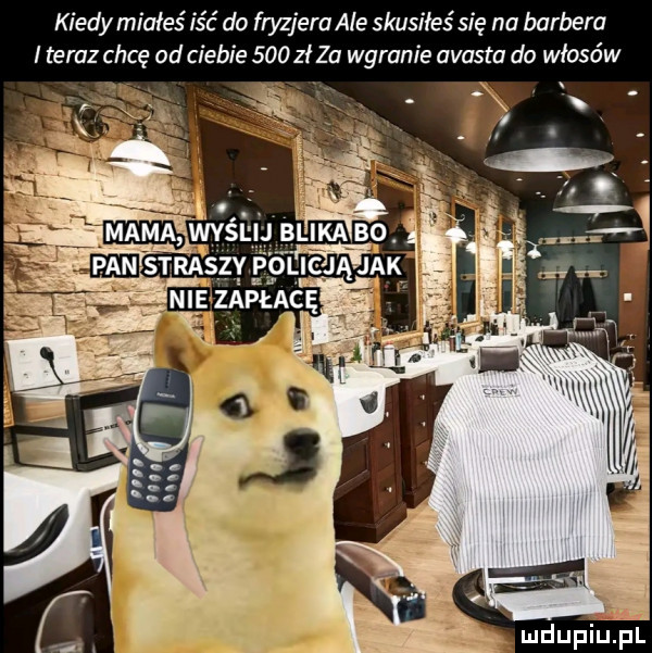 kiedy miałeś iść do fryzjera ale skusiłes się na barbera i teraz chcę od ciebie     zł za wgranie avasta do włosów i