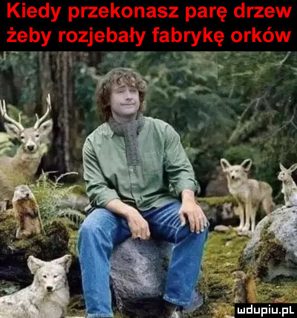 kiedy przekonasz parę drzew żeby rozjebały fabrykę orków ga v mdﬁipl