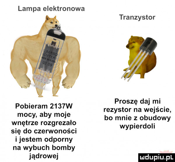 lampa elektronowa pobieram     w mocy aby moje wnętrze rozgrezalo się do czerwoności ijestem odporny na wybuch bomby jądrowej tranzystor proszę daj mi rezystor na wejście bo mnie z obudowy wypierdoli
