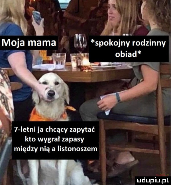 vq zł moja mama n spokojny rodzinny m b   istni ja chcący zapytać a. kto wygrał zapasy między nią a listonoszem ul. wdupiu pl