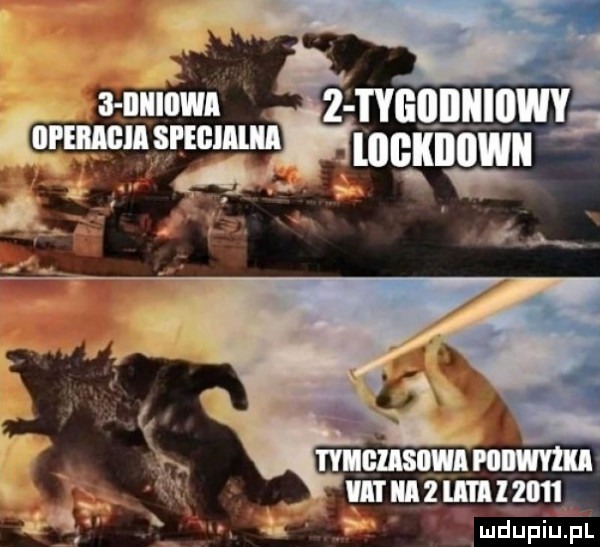 ludupiu pl